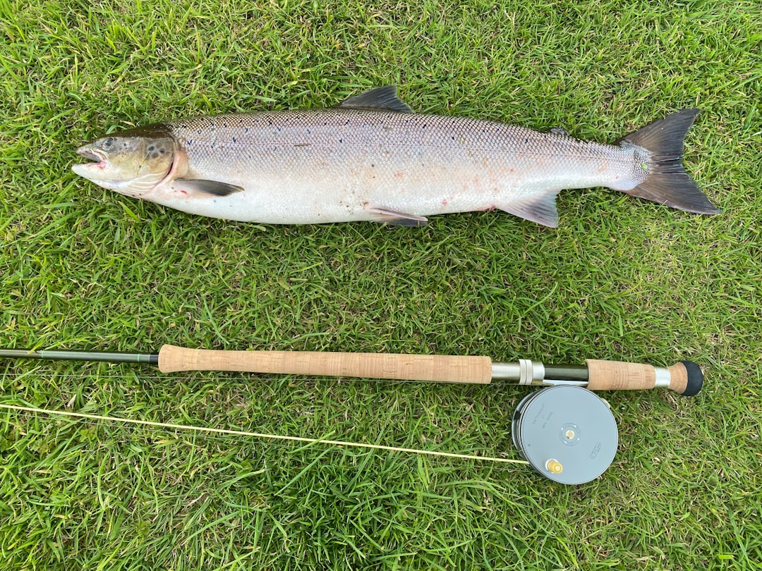 Linder Sportsman 445