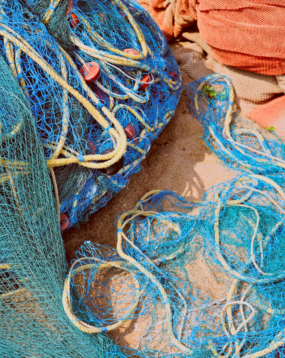 Essential Fishing Gear