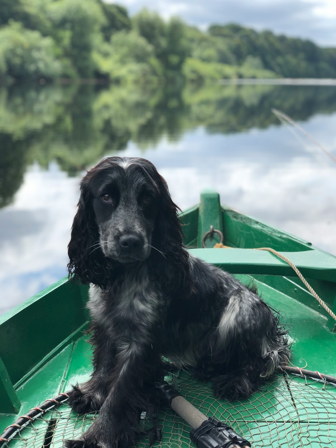 Fly fishing in Ammarnäs