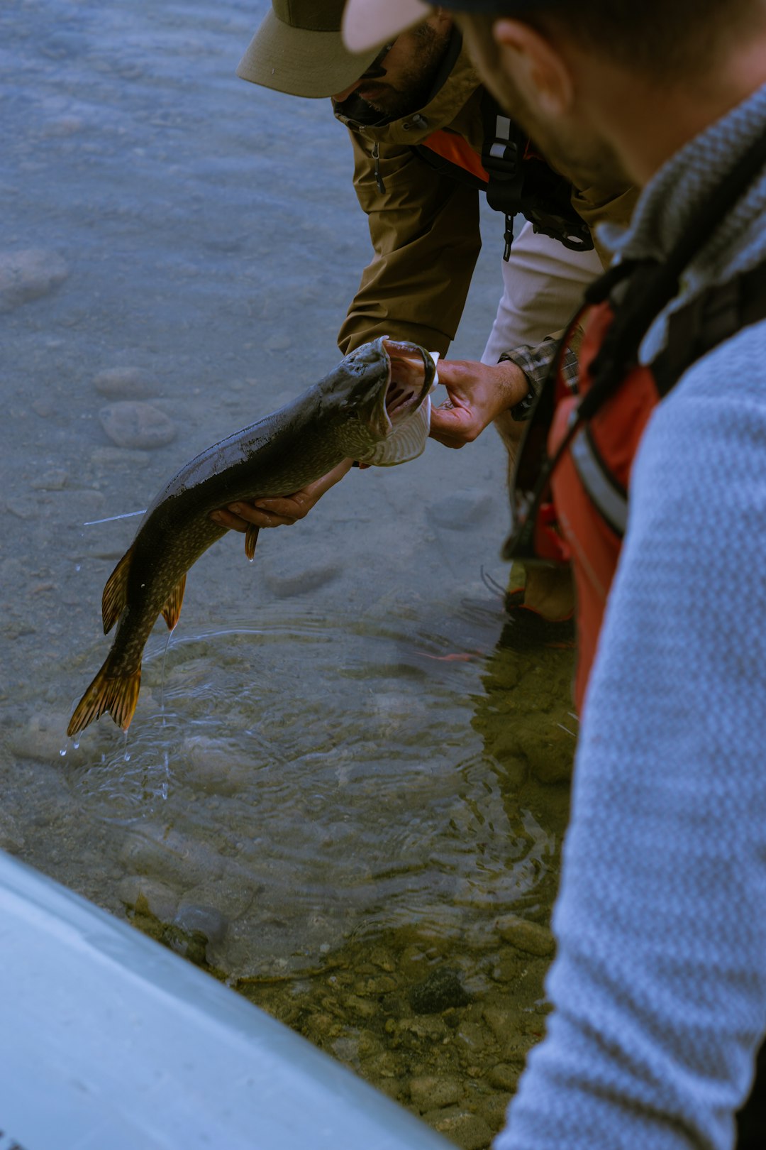Seasonal Fishing Guide