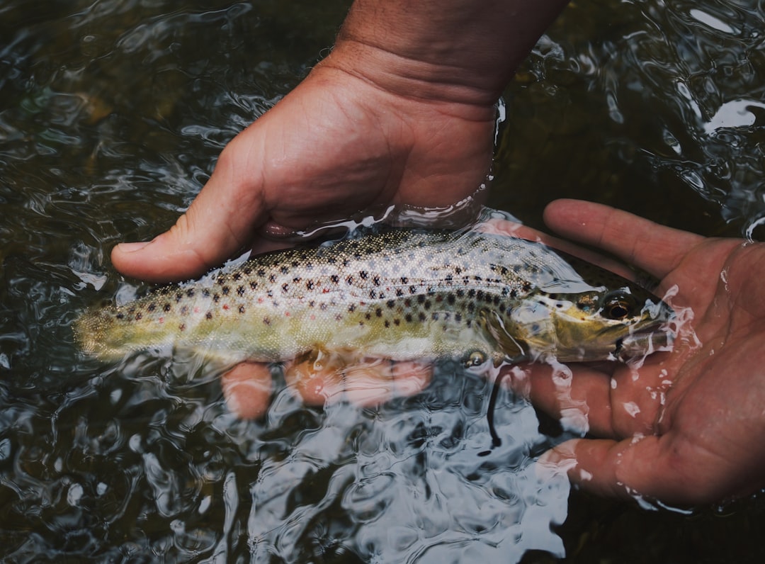 Fishing guide with client
